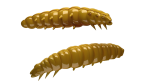 LIBRA LURES LARVA 35 mm Cheese, 12 Stück, 036, Coffee Milk